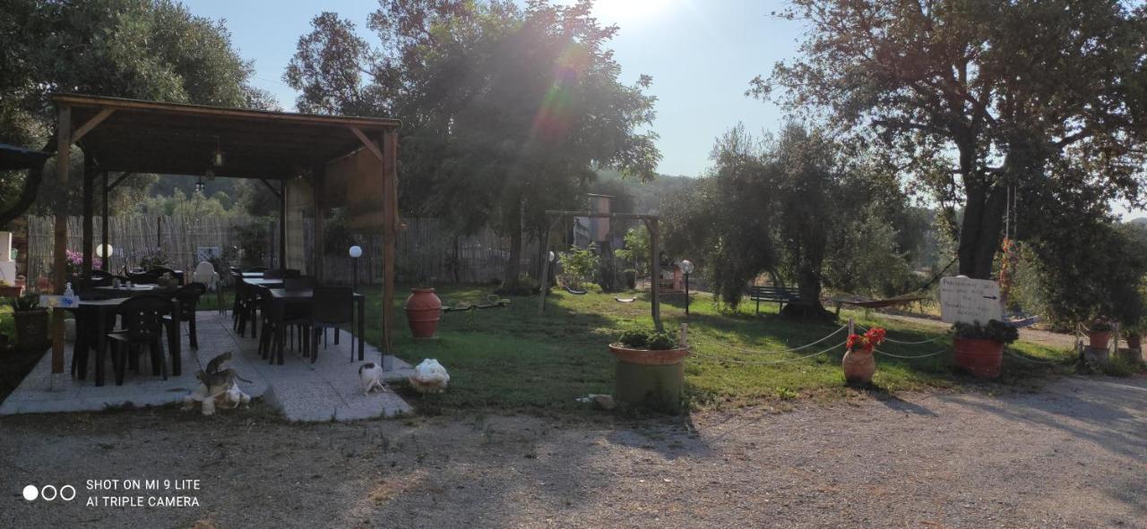 Agriturismo Poggio All'Olivo Follonica Eksteriør billede