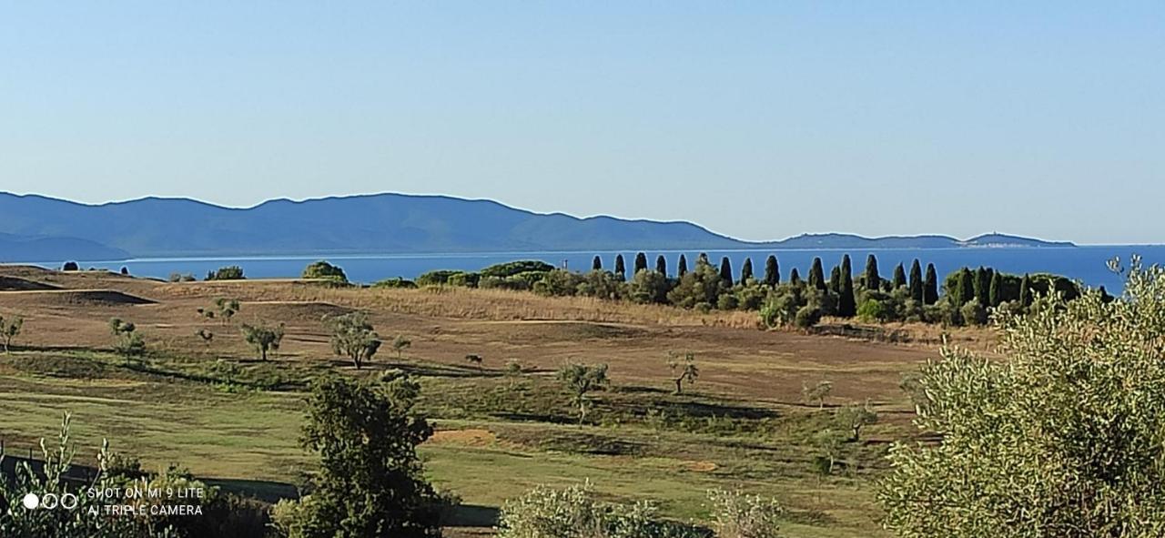 Agriturismo Poggio All'Olivo Follonica Eksteriør billede