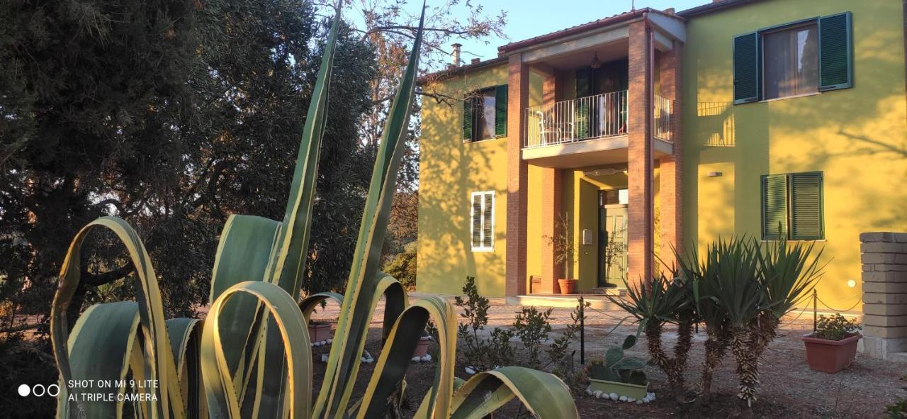 Agriturismo Poggio All'Olivo Follonica Eksteriør billede