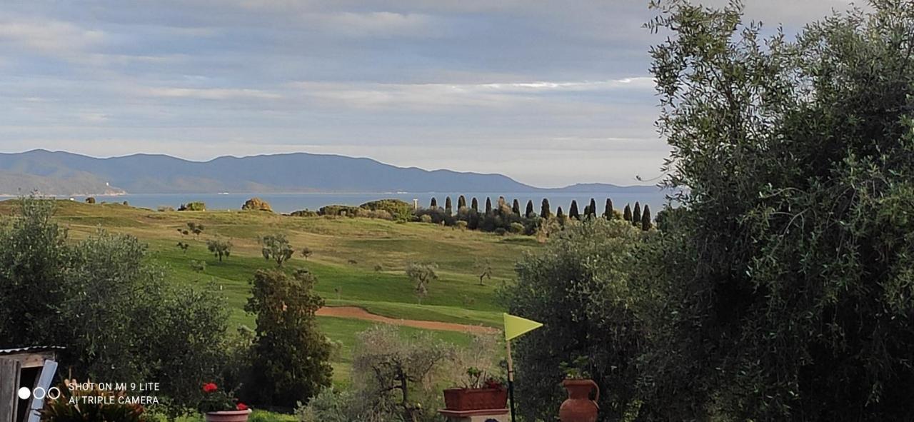 Agriturismo Poggio All'Olivo Follonica Eksteriør billede