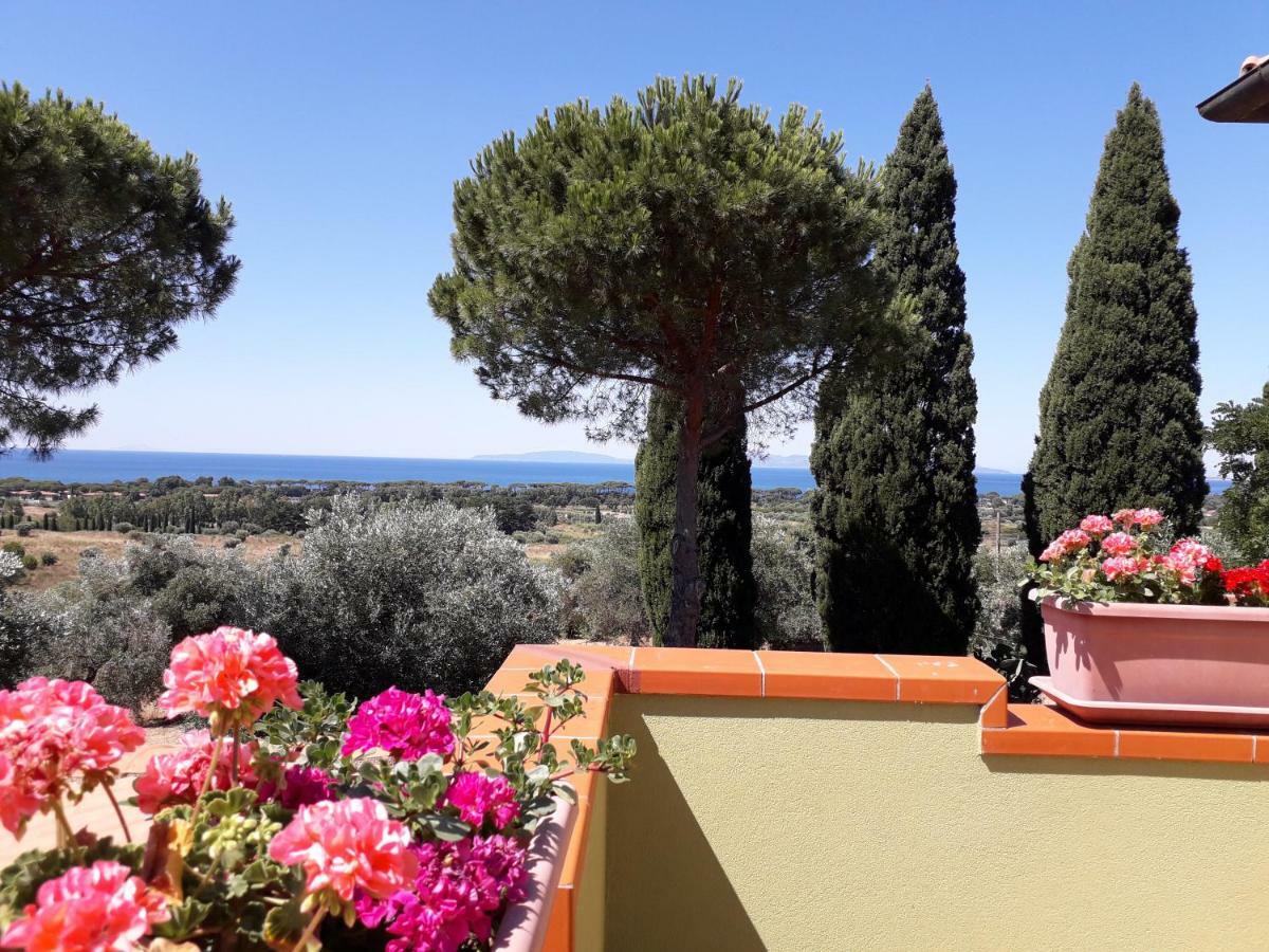 Agriturismo Poggio All'Olivo Follonica Eksteriør billede