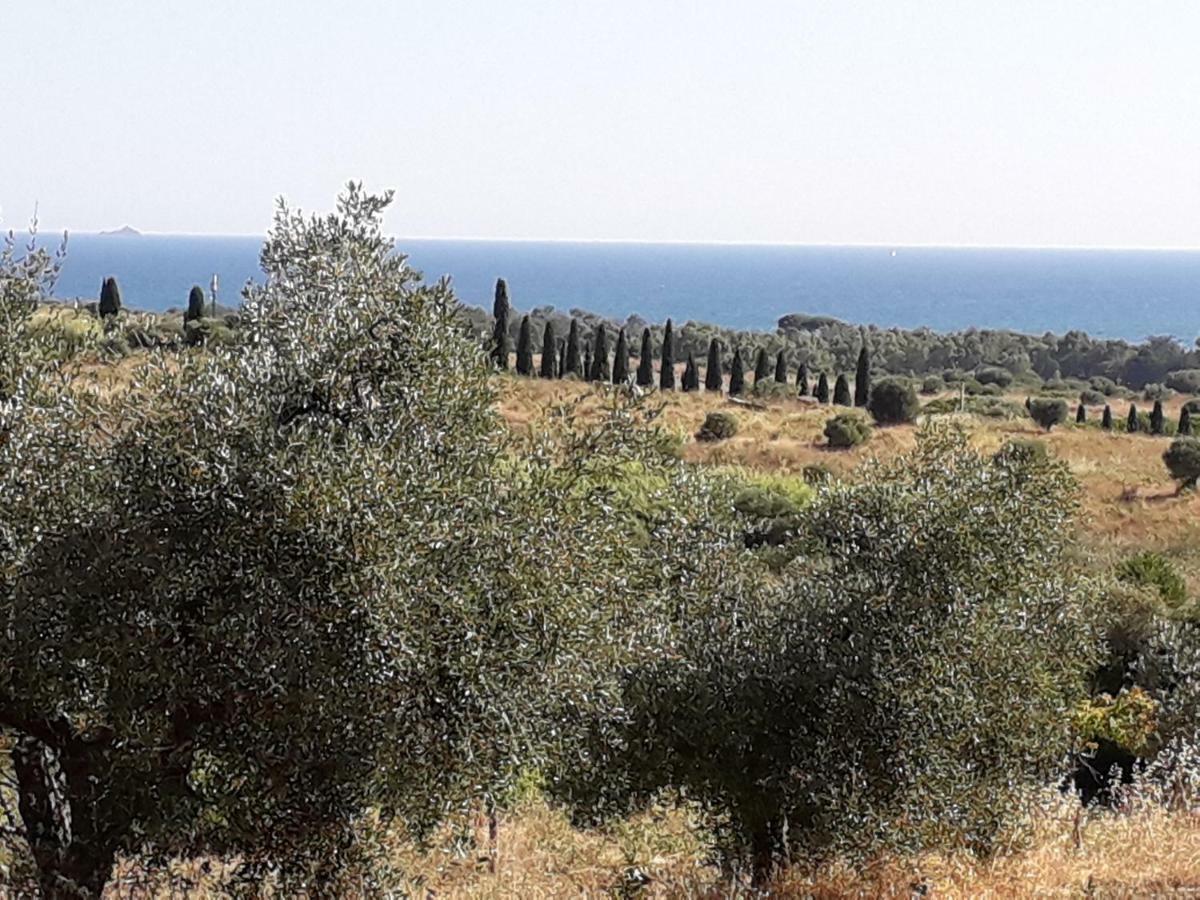 Agriturismo Poggio All'Olivo Follonica Eksteriør billede