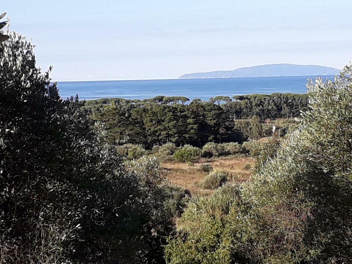 Agriturismo Poggio All'Olivo Follonica Eksteriør billede